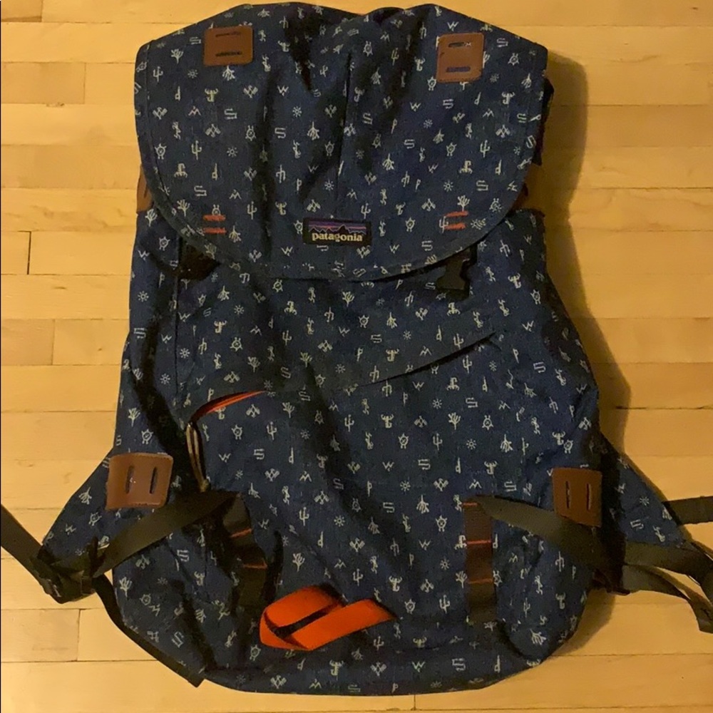 Patagonia Blue Patterned Day Pack